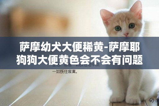 薩摩幼犬大便稀黃-薩摩耶狗狗大便黃色會不會有問題？