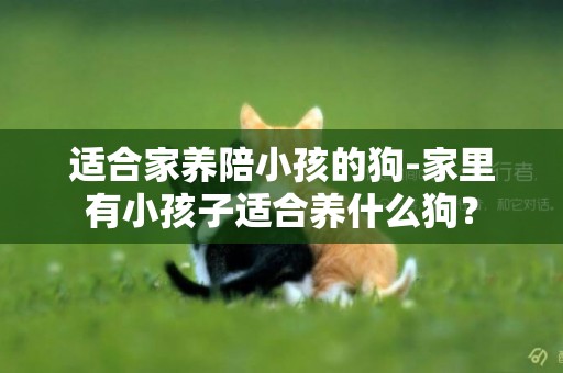 適合家養陪小孩的狗-家里有小孩子適合養什么狗？