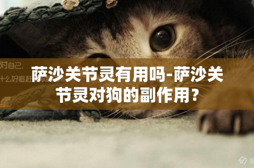 薩沙關節靈有用嗎-薩沙關節靈對狗的副作用？