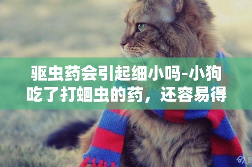 驅蟲藥會引起細小嗎-小狗吃了打蛔蟲的藥，還容易得細小嗎？