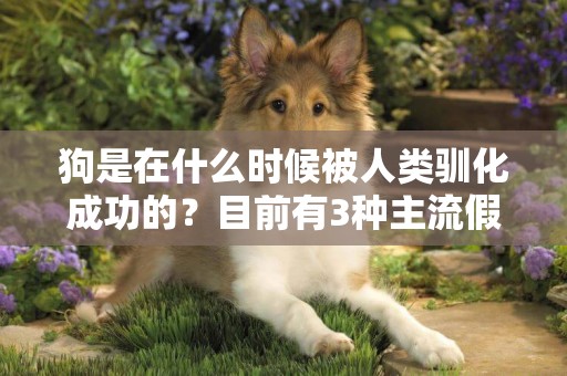 狗是在什么時候被人類馴化成功的？目前有3種主流假說 