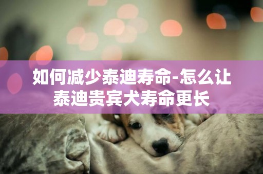 如何減少泰迪壽命-怎么讓泰迪貴賓犬壽命更長