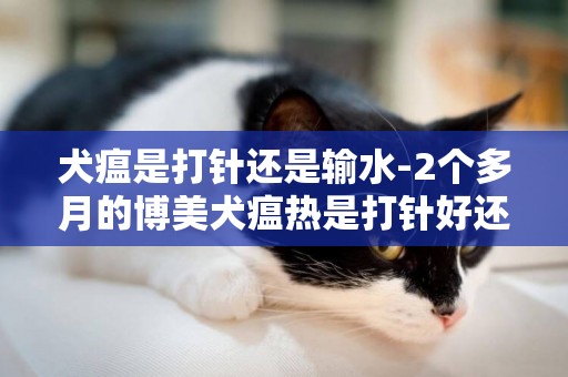 犬瘟是打針還是輸水-2個多月的博美犬瘟熱是打針好還是打吊水好