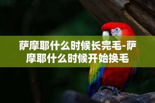 薩摩耶什么時候長完毛-薩摩耶什么時候開始換毛