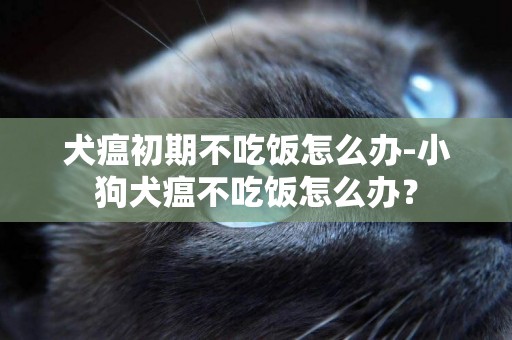 犬瘟初期不吃飯怎么辦-小狗犬瘟不吃飯怎么辦？