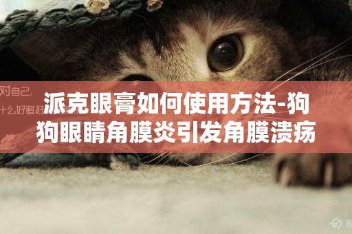 派克眼膏如何使用方法-狗狗眼睛角膜炎引發角膜潰瘍穿孔，想問A-派克眼膏和氧佛沙星眼藥水能一起用嗎，是