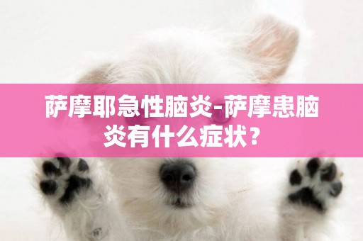 薩摩耶急性腦炎-薩摩患腦炎有什么癥狀？