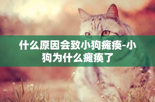 什么原因會致小狗癱瘓-小狗為什么癱瘓了