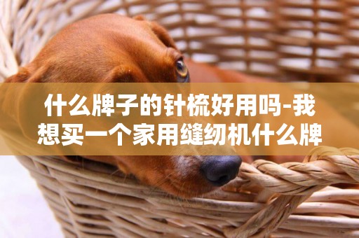 什么牌子的針梳好用嗎-我想買一個家用縫紉機什么牌的好用