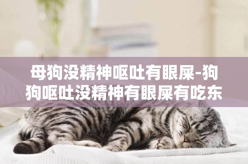 母狗沒精神嘔吐有眼屎-狗狗嘔吐沒精神有眼屎有吃東西