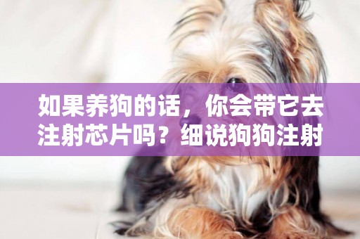 如果養狗的話，你會帶它去注射芯片嗎？細說狗狗注射芯片那些事 