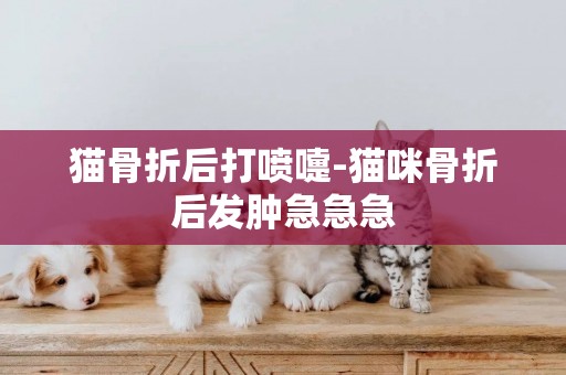 貓骨折后打噴嚏-貓咪骨折后發腫急急急