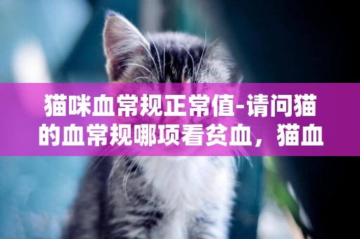 貓咪血常規正常值-請問貓的血常規哪項看貧血，貓血常規檢查怎么看貧血