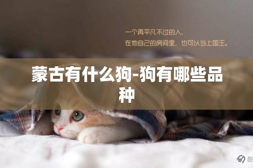 蒙古有什么狗-狗有哪些品種