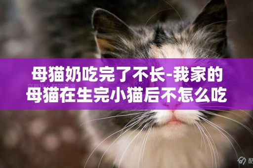 母貓奶吃完了不長-我家的母貓在生完小貓后不怎么吃東西了咋辦？？生完小貓的母貓吃