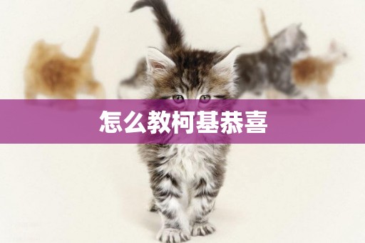怎么教柯基恭喜