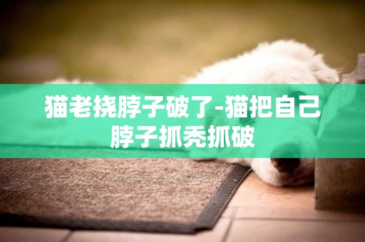 貓老撓脖子破了-貓把自己脖子抓禿抓破