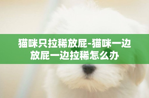 貓咪只拉稀放屁-貓咪一邊放屁一邊拉稀怎么辦