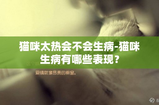 貓咪太熱會不會生病-貓咪生病有哪些表現？