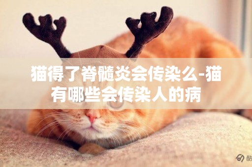 貓得了脊髓炎會傳染么-貓有哪些會傳染人的病