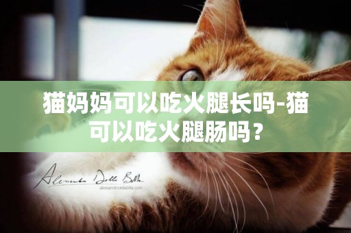 貓媽媽可以吃火腿長嗎-貓可以吃火腿腸嗎？