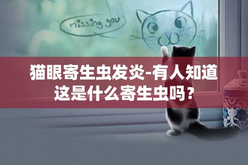 貓眼寄生蟲發炎-有人知道這是什么寄生蟲嗎？