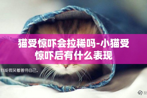 貓受驚嚇會拉稀嗎-小貓受驚嚇后有什么表現