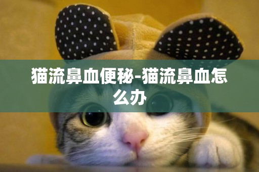 貓流鼻血便秘-貓流鼻血怎么辦