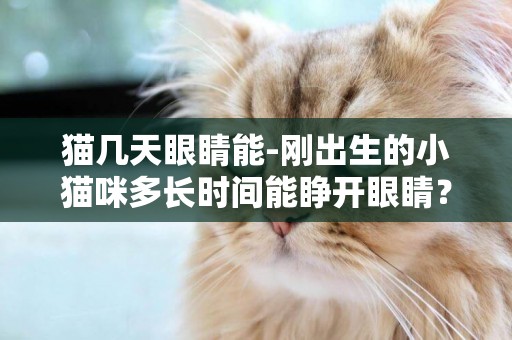 貓幾天眼睛能-剛出生的小貓咪多長時間能睜開眼睛？