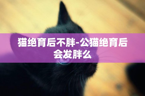 貓絕育后不胖-公貓絕育后會發胖么