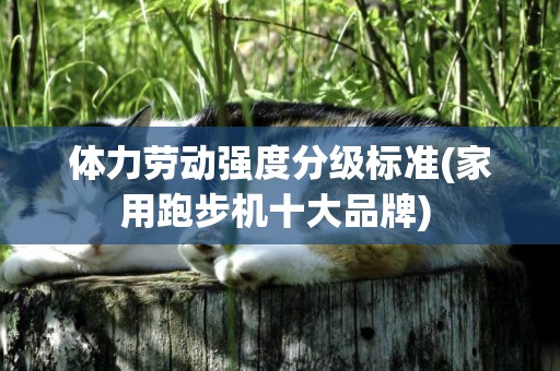體力勞動強度分級標準(家用跑步機十大品牌) 