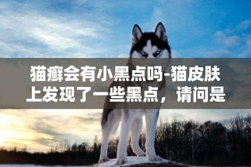 貓癬會有小黑點嗎-貓皮膚上發現了一些黑點，請問是皮膚病嗎？