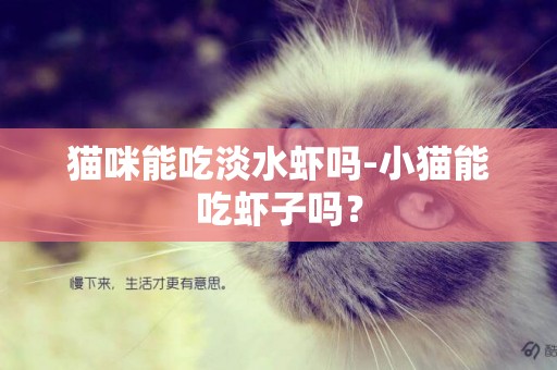 貓咪能吃淡水蝦嗎-小貓能吃蝦子嗎？