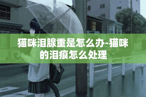 貓咪淚腺重是怎么辦-貓咪的淚痕怎么處理