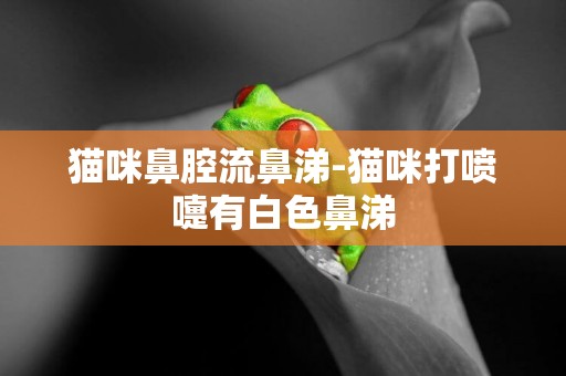 貓咪鼻腔流鼻涕-貓咪打噴嚏有白色鼻涕