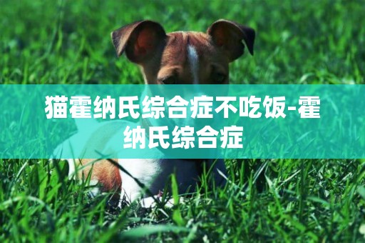 貓霍納氏綜合癥不吃飯-霍納氏綜合癥