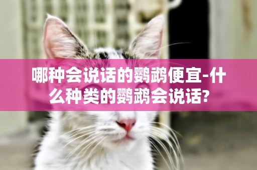 哪種會說話的鸚鵡便宜-什么種類的鸚鵡會說話?