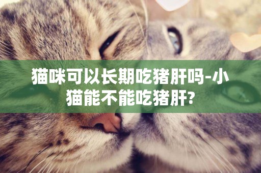 貓咪可以長期吃豬肝嗎-小貓能不能吃豬肝?