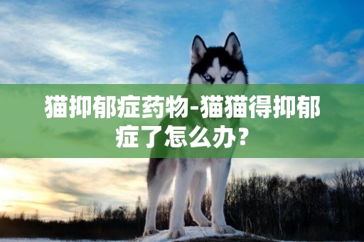 貓抑郁癥藥物-貓貓得抑郁癥了怎么辦？