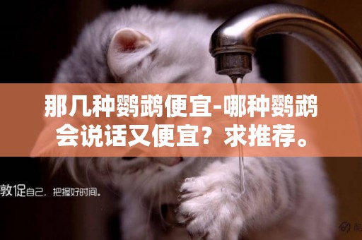 那幾種鸚鵡便宜-哪種鸚鵡會說話又便宜？求推薦。