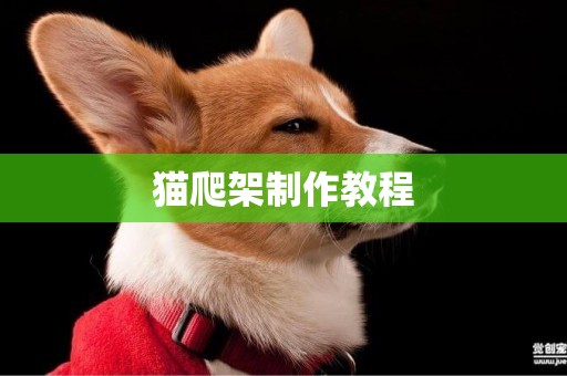 貓爬架制作教程