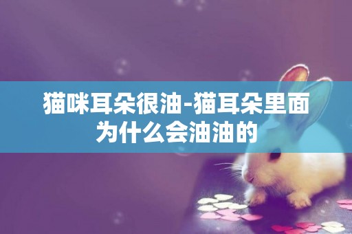 貓咪耳朵很油-貓耳朵里面為什么會油油的
