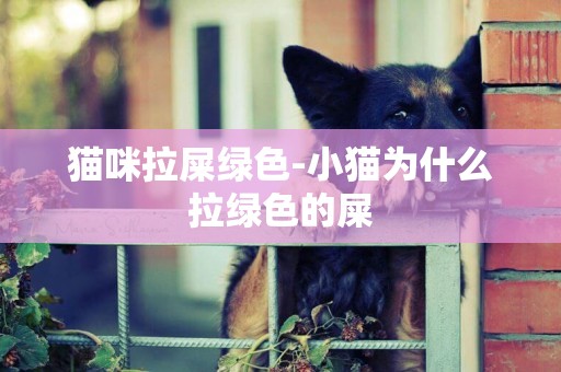 貓咪拉屎綠色-小貓為什么拉綠色的屎