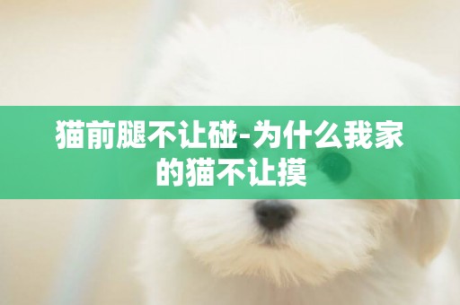 貓前腿不讓碰-為什么我家的貓不讓摸