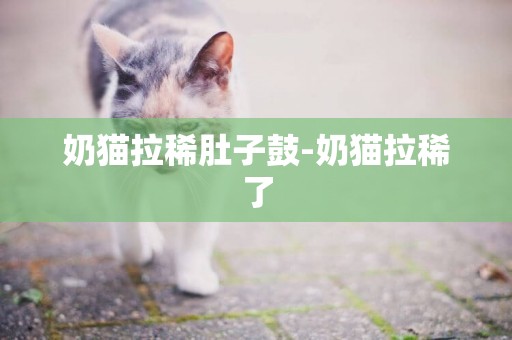 奶貓拉稀肚子鼓-奶貓拉稀了