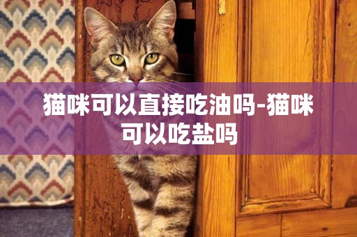 貓咪可以直接吃油嗎-貓咪可以吃鹽嗎