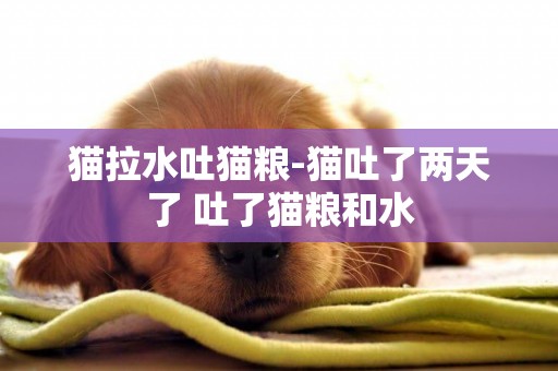 貓拉水吐貓糧-貓吐了兩天了 吐了貓糧和水