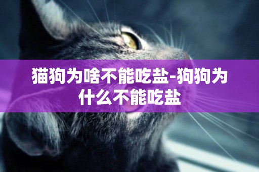 貓狗為啥不能吃鹽-狗狗為什么不能吃鹽