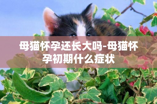 母貓懷孕還長大嗎-母貓懷孕初期什么癥狀