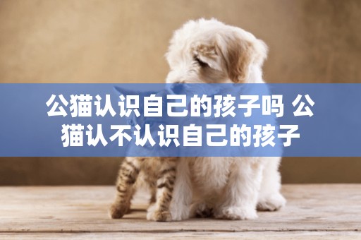 公貓認識自己的孩子嗎 公貓認不認識自己的孩子